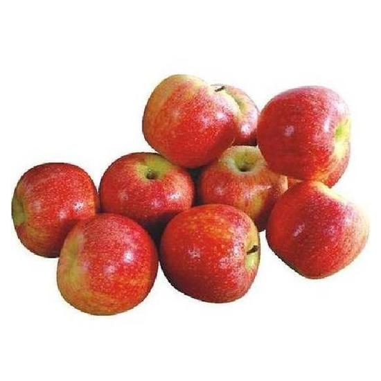紐西蘭加拉蘋果＃１２０ 約135g