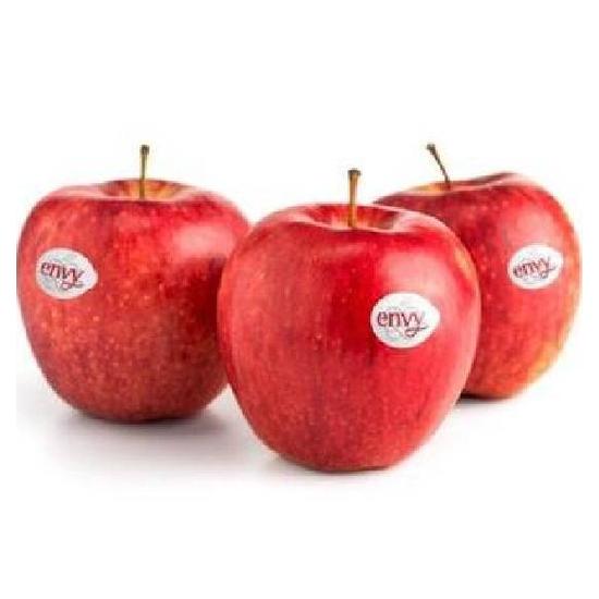 美國ＥＮＶＹ蘋果＃６４ 約250g