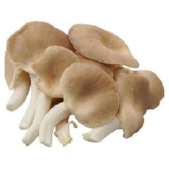 有機秀珍菇 約150g