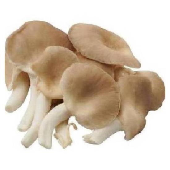 有機秀珍菇 約150g
