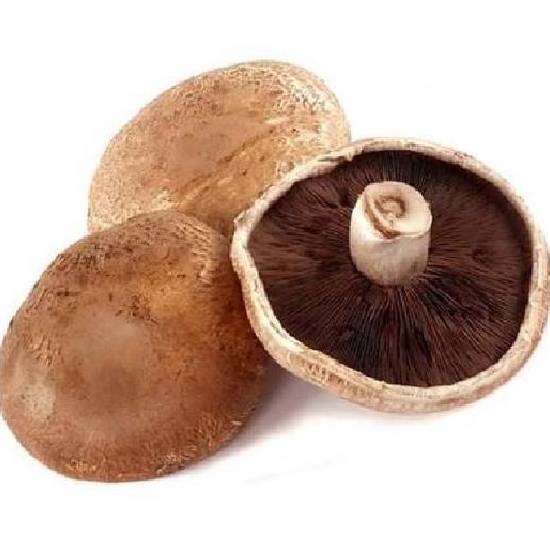 履歷波特貝勒菇 約150g
