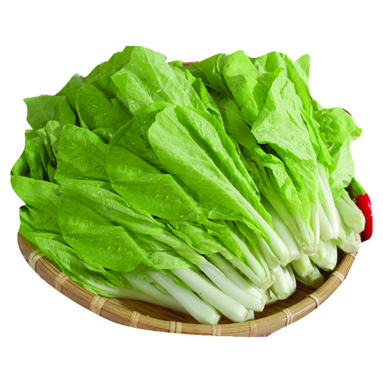 有機小白菜 約250g