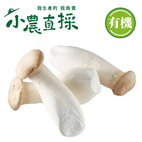 有機杏鮑菇 200g