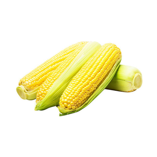 甜玉米（產銷履歷）（非基因改造） 2入/約400g