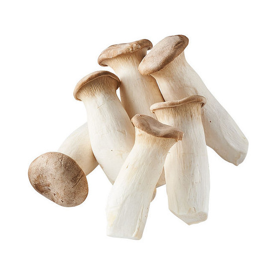 有機Ａ級杏鮑菇 約400g