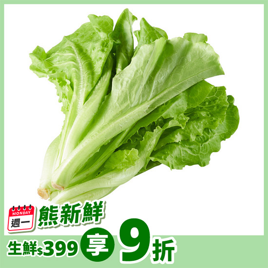 福山萵苣 約250g